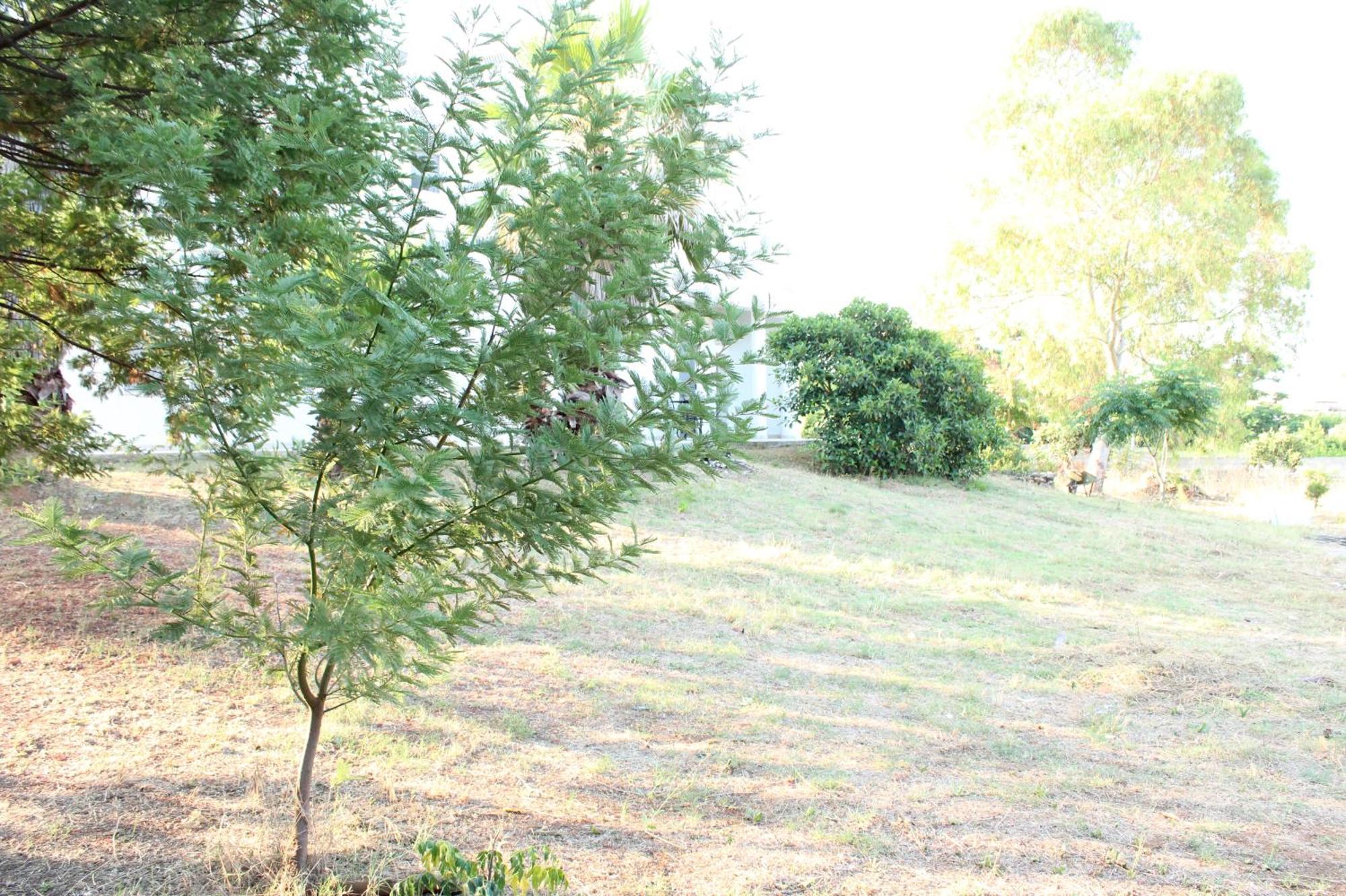 Boat Dreams , Garden Relax Matino Exterior foto
