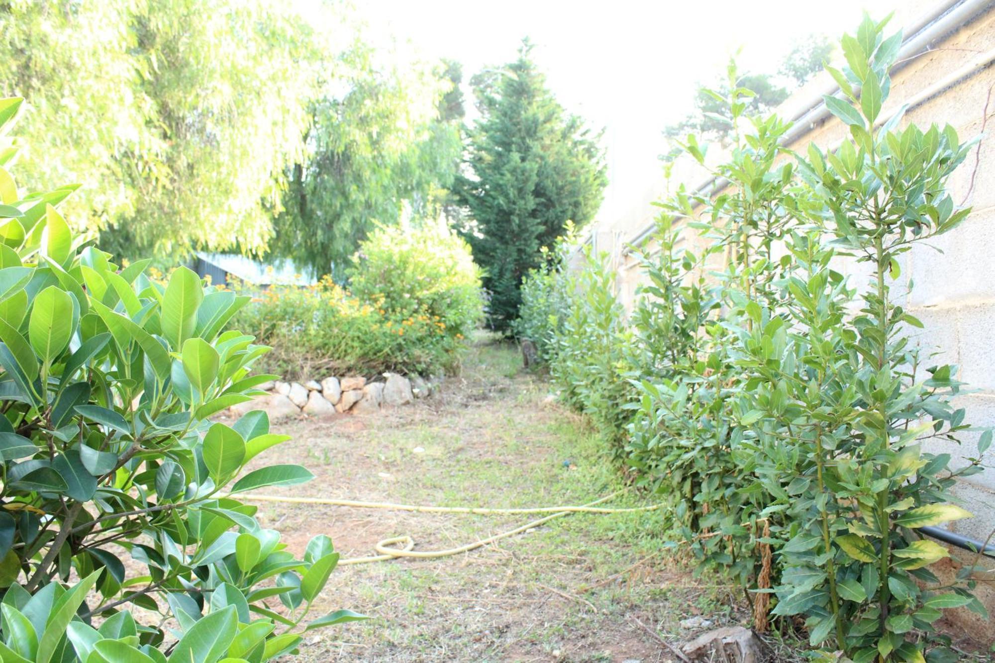 Boat Dreams , Garden Relax Matino Exterior foto