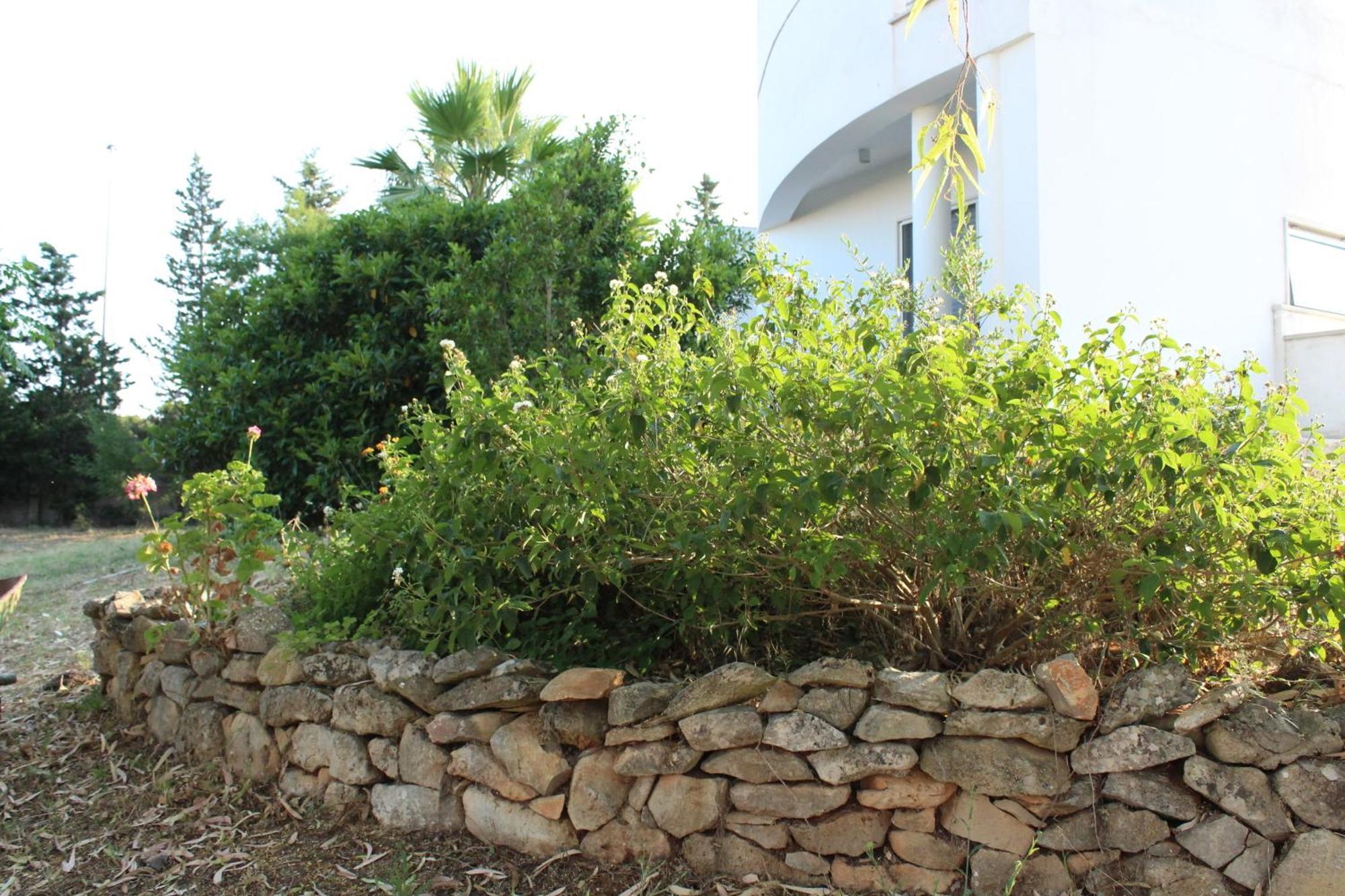 Boat Dreams , Garden Relax Matino Exterior foto
